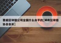 娄底区块链公司全国什么水平的[湖南区块链协会会长]